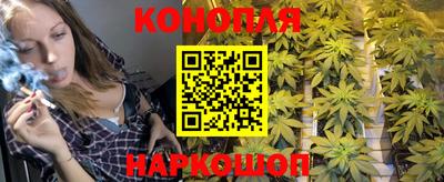 кокс Будённовск
