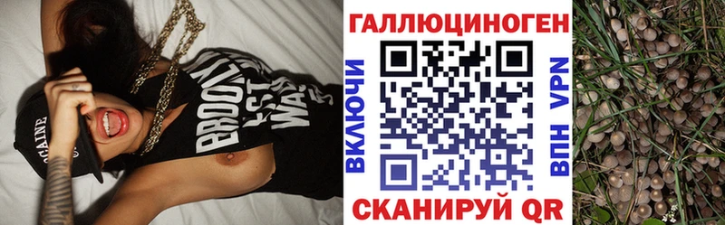 Псилоцибиновые грибы мицелий  Полевской 
