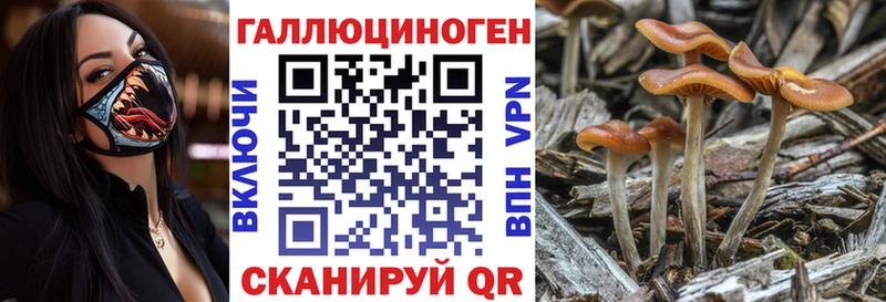 Псилоцибиновые грибы Magic Shrooms Полевской