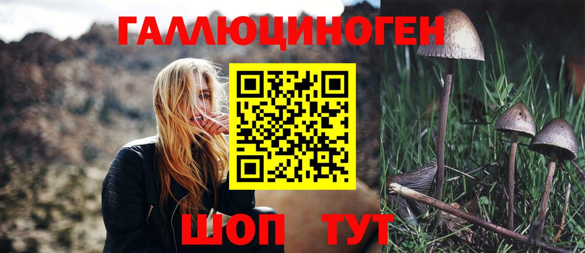 Галлюциногенные грибы ЛСД  Полевской 