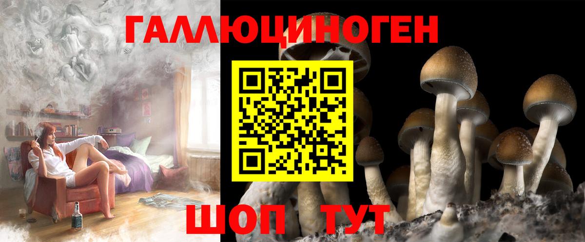Псилоцибиновые грибы Psilocybine cubensis Полевской
