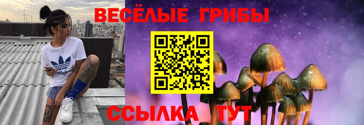 Псилоцибиновые грибы GOLDEN TEACHER Полевской