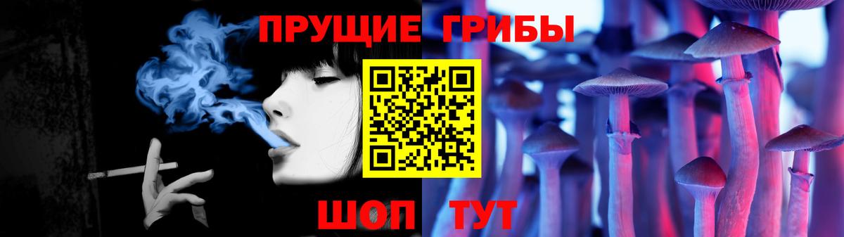 Полевской  Галлюциногенные грибы Psilocybe  Вход с VPN 